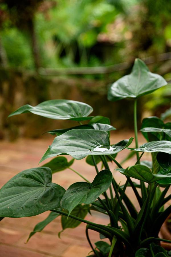 TW Guaimbê Exclusive Suítes Ilhabela Exterior foto